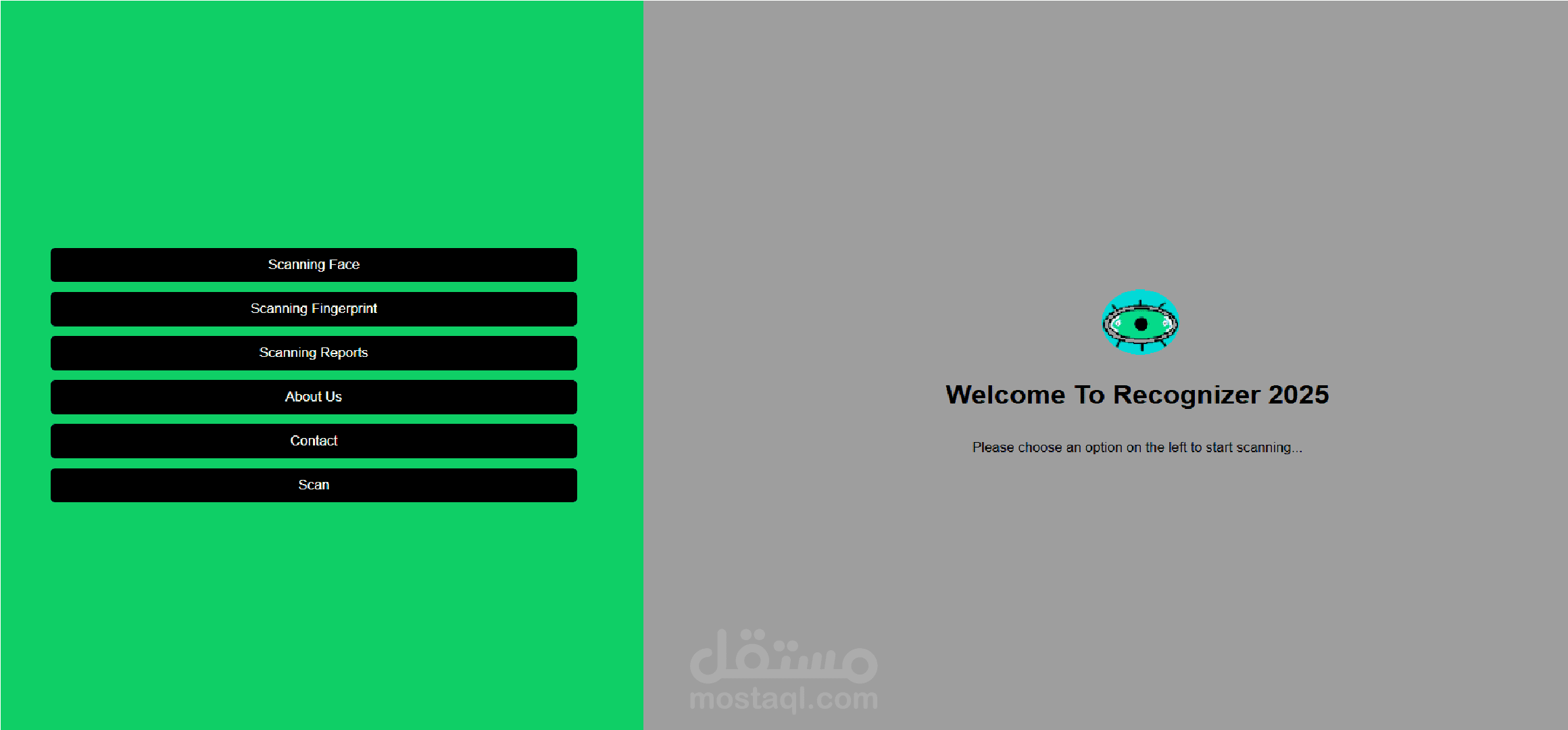 Face and fingerprint recognition website