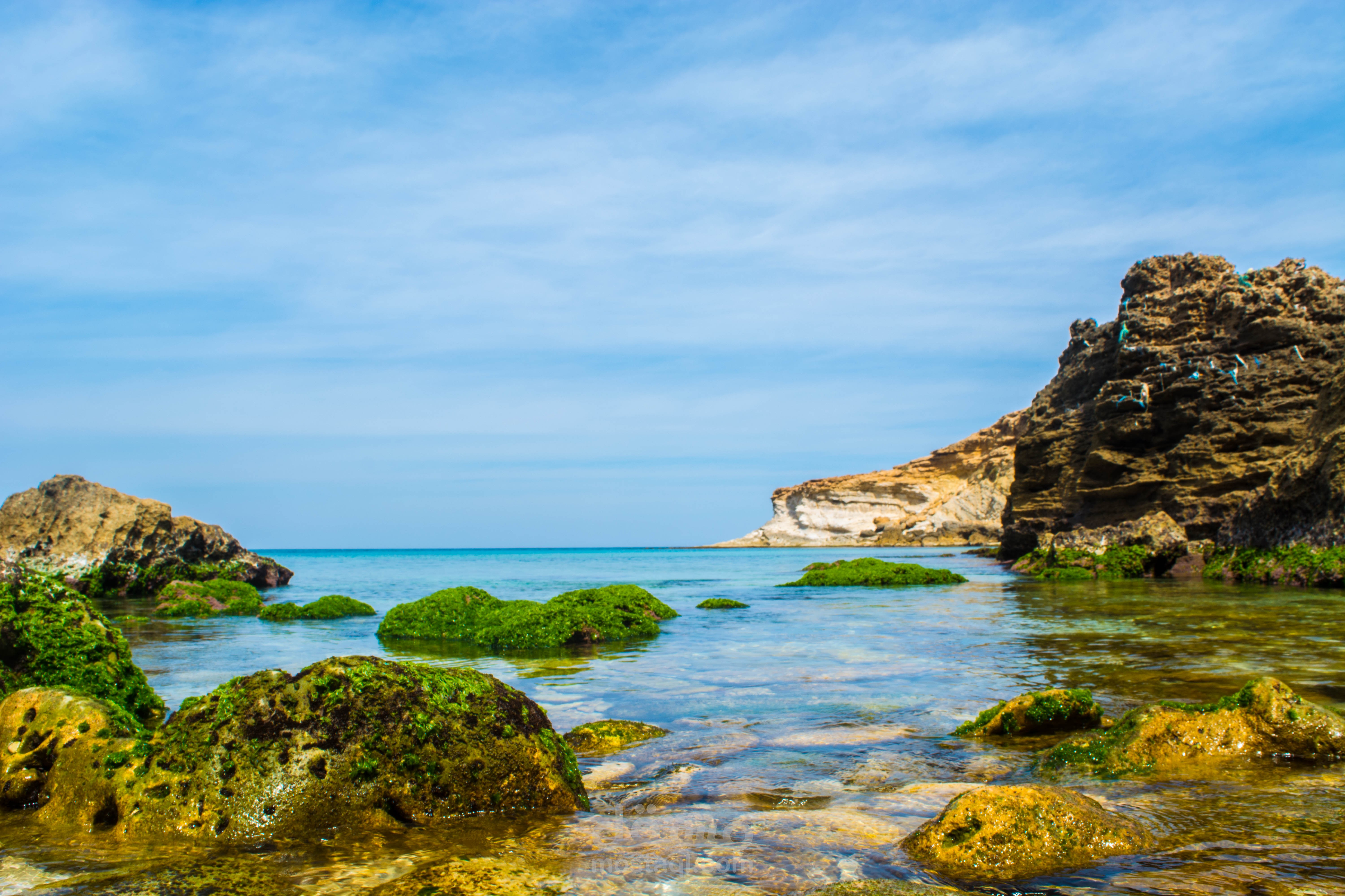 Professional Editing