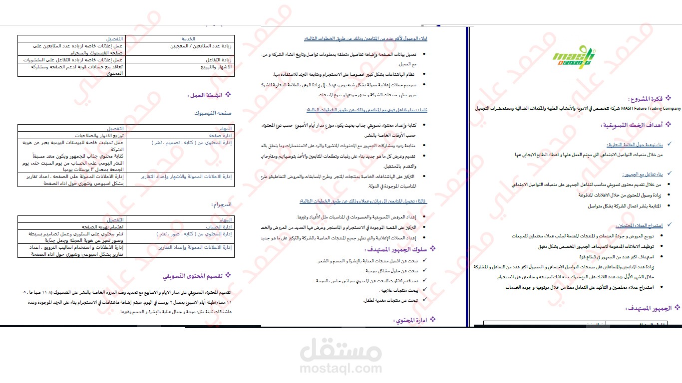 خطة التسويق الالكتروني