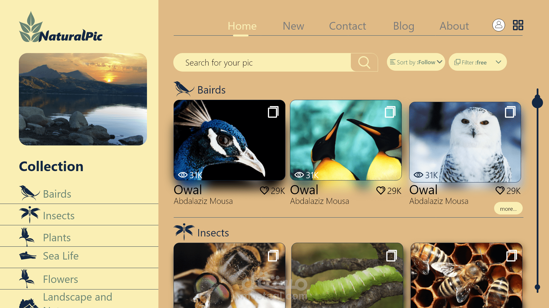 تصميم موقع لعرض وتحميل صور الطبيعه