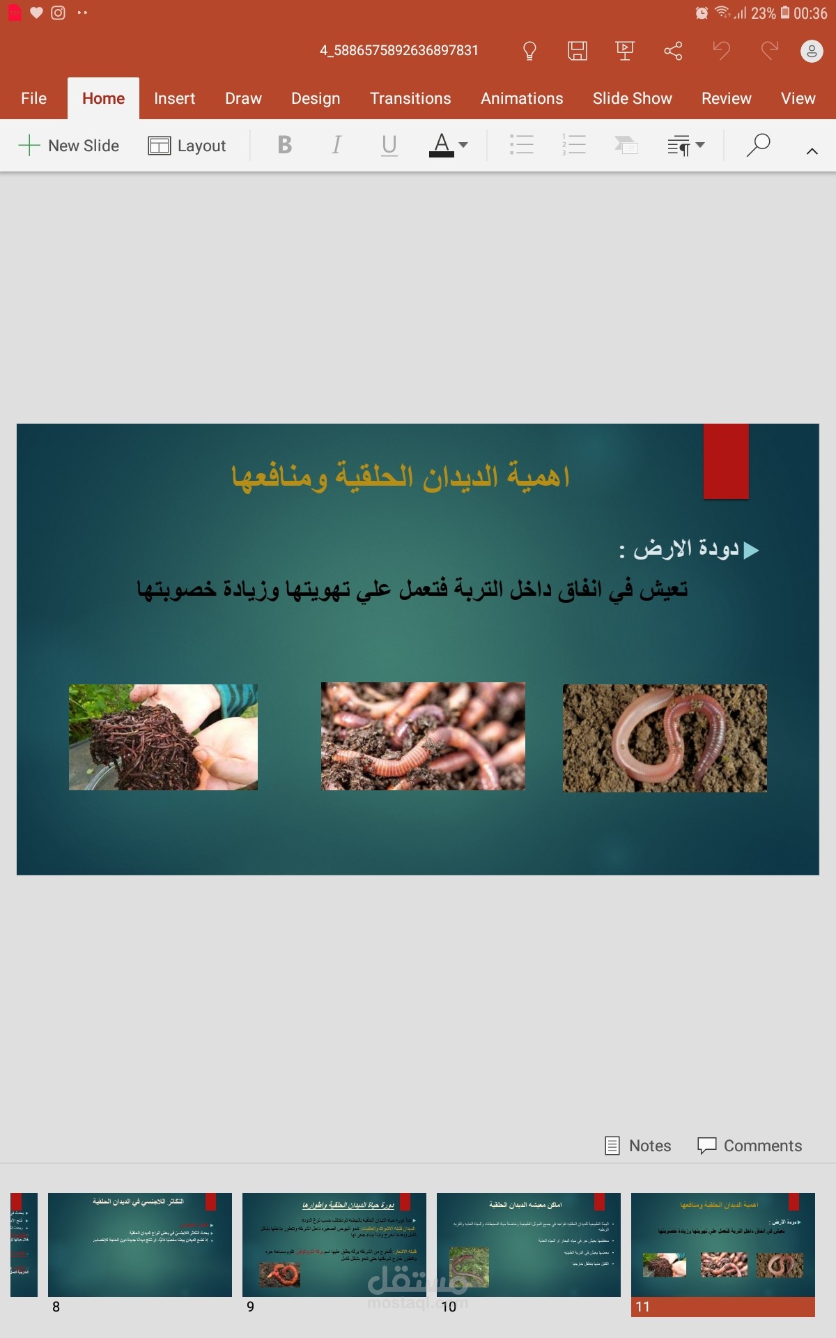 برزنتيشن (عرض تقديمي )