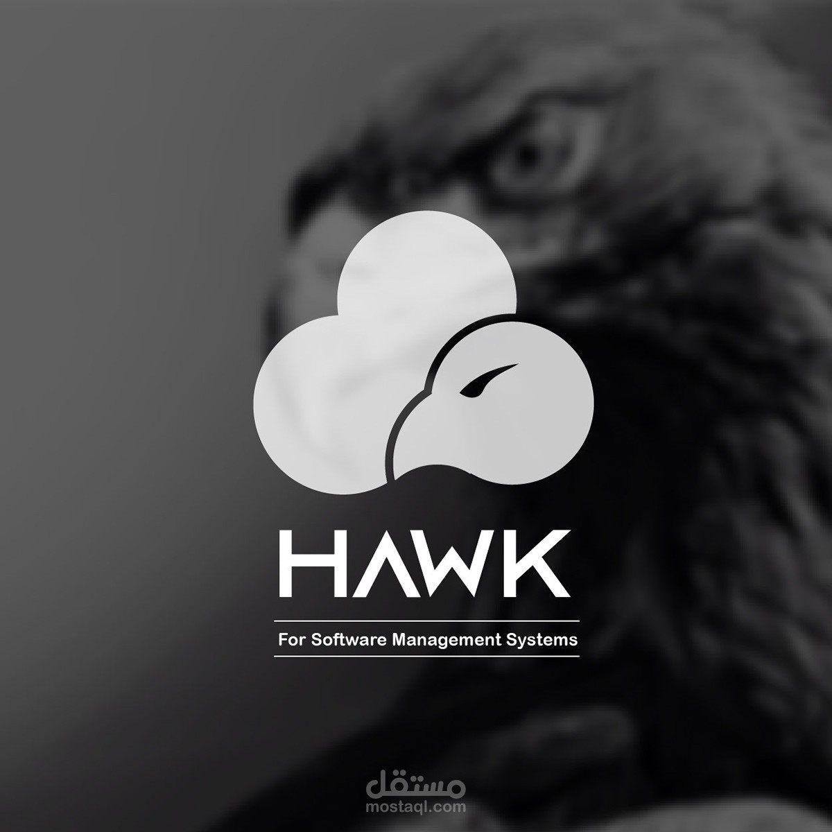 Hawk Logo
