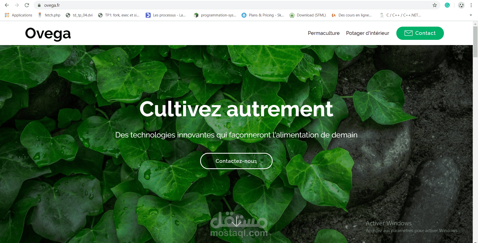 موقع ويب لشركة تونسية ناشئة مختصة في الاكوابونيك قمنا بانشائها نحن نادي "ENACTUS"بالتعاون مع مهندس زراعي شاب