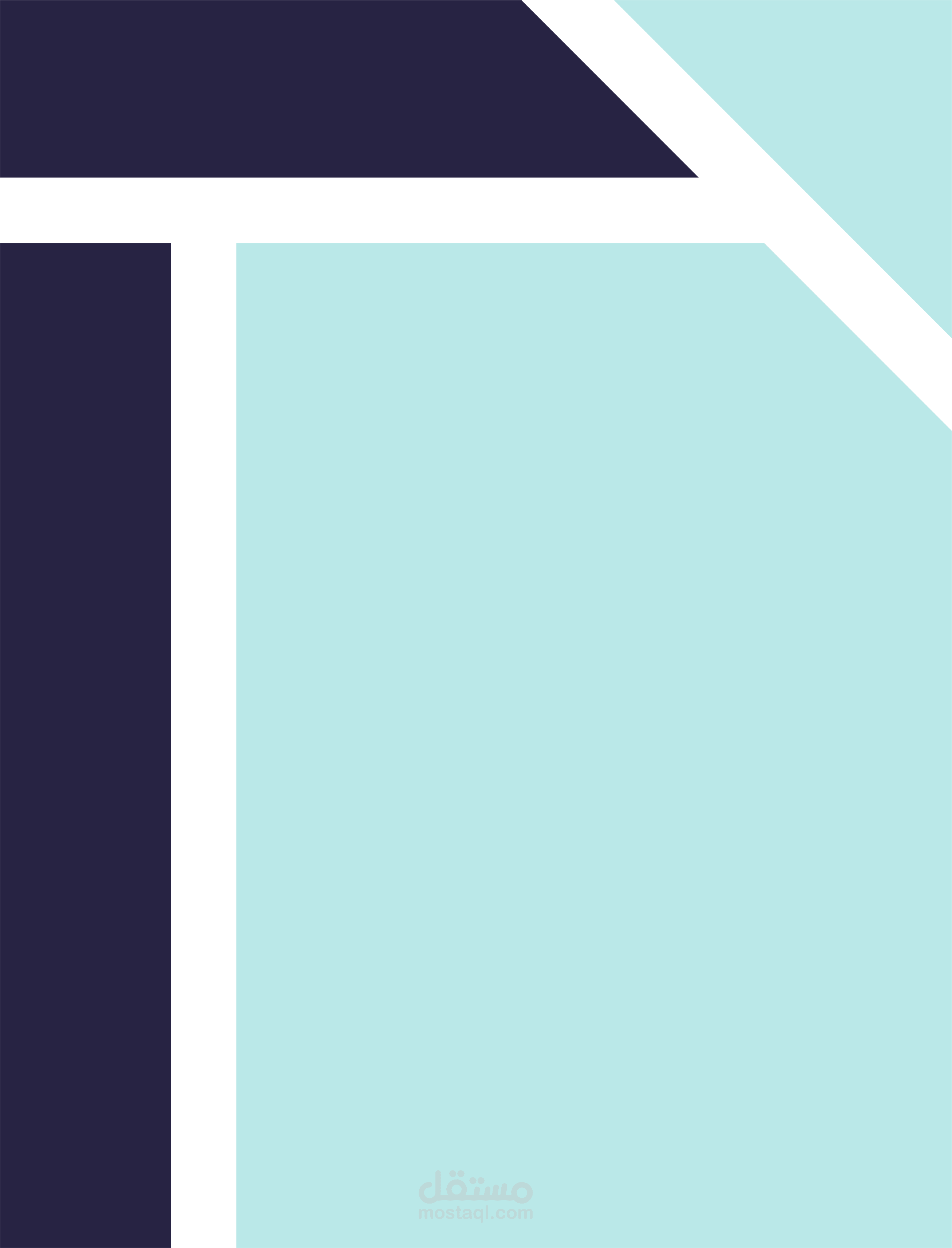 دراسة جدوى إحترافية