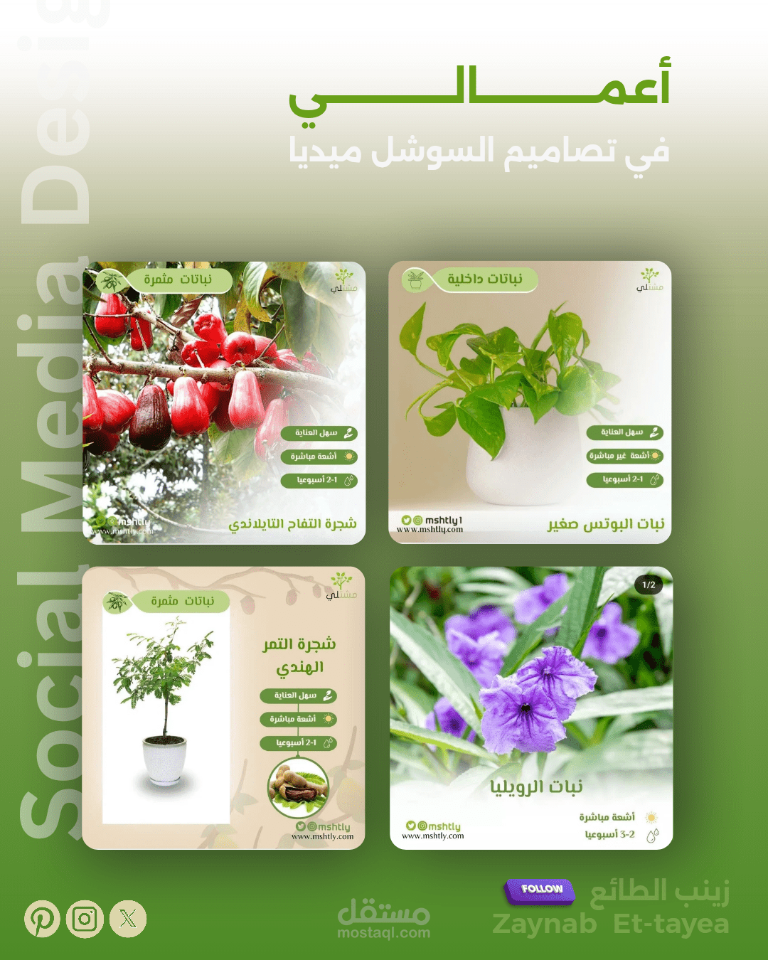 تصاميم سوشل ميديا