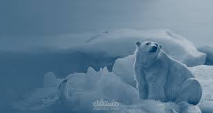 Translation of an article about global warming