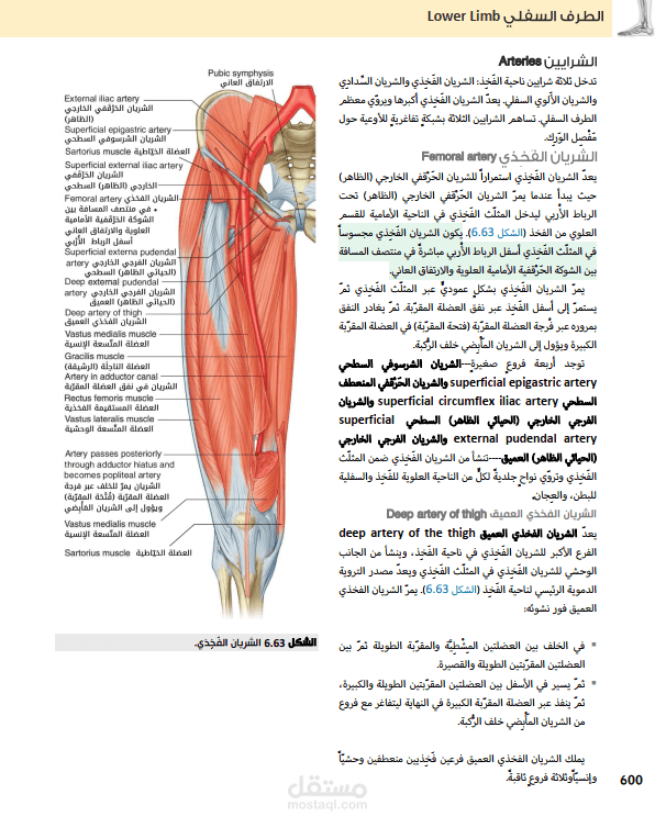 قسم من كتاب مرجعي طبي ساهمت بترجمته