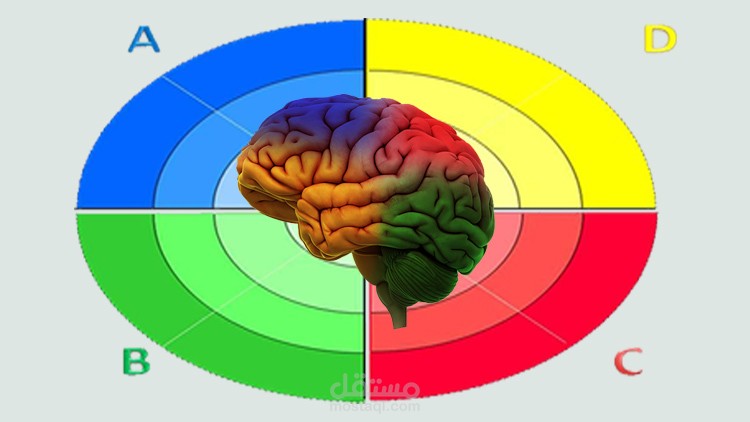 دورة جاهزة احتاج من لدية خبرة في منصة Udemy