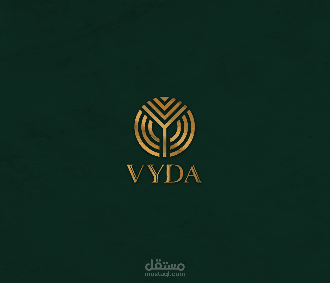 هوية شركة VYDA