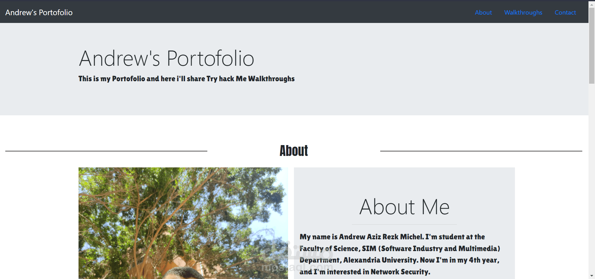 Portifolio website