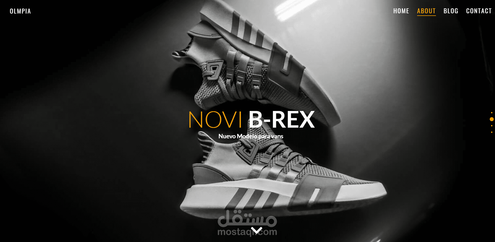 تصميم صفحات الهبوط