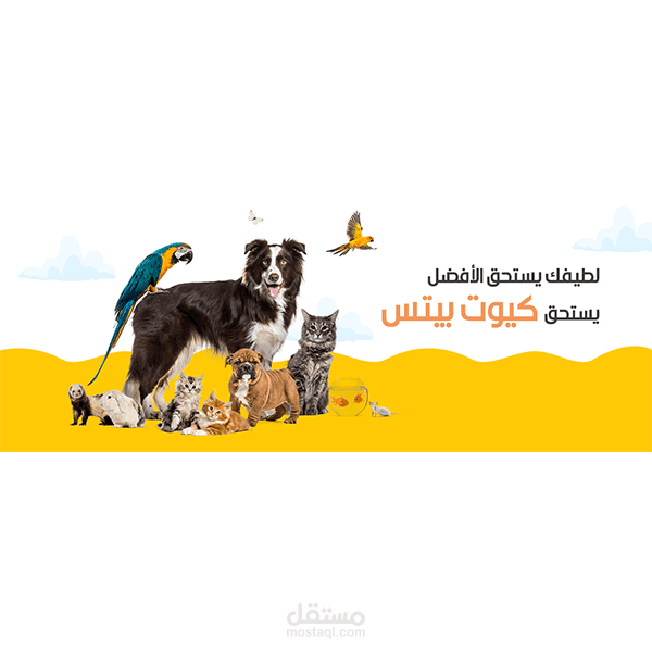 إدخال المنتجات إلي متجر كيوت بيتس لمستلزمات الحيوانات الأليفة والأسماك وتنسيقه