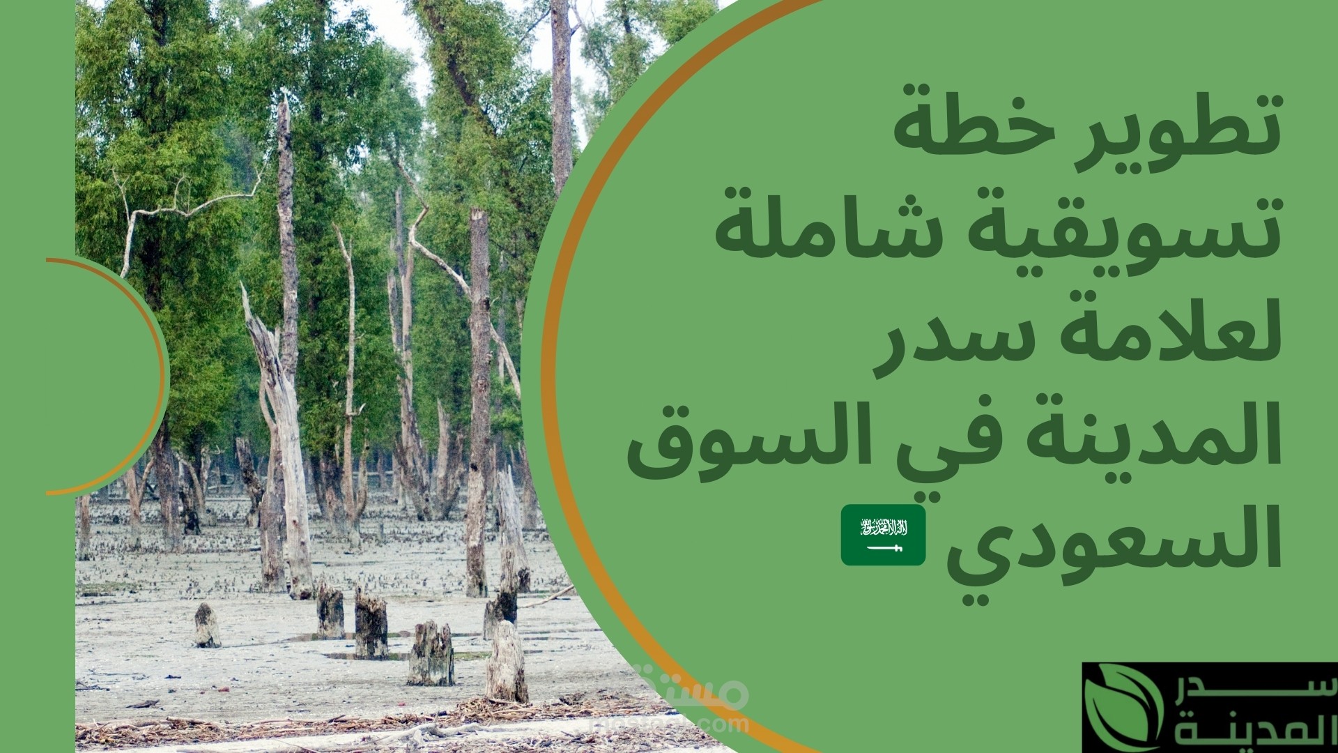 تطوير خطة تسويقية شاملة لعلامة سدر المدينة في السوق السعودي