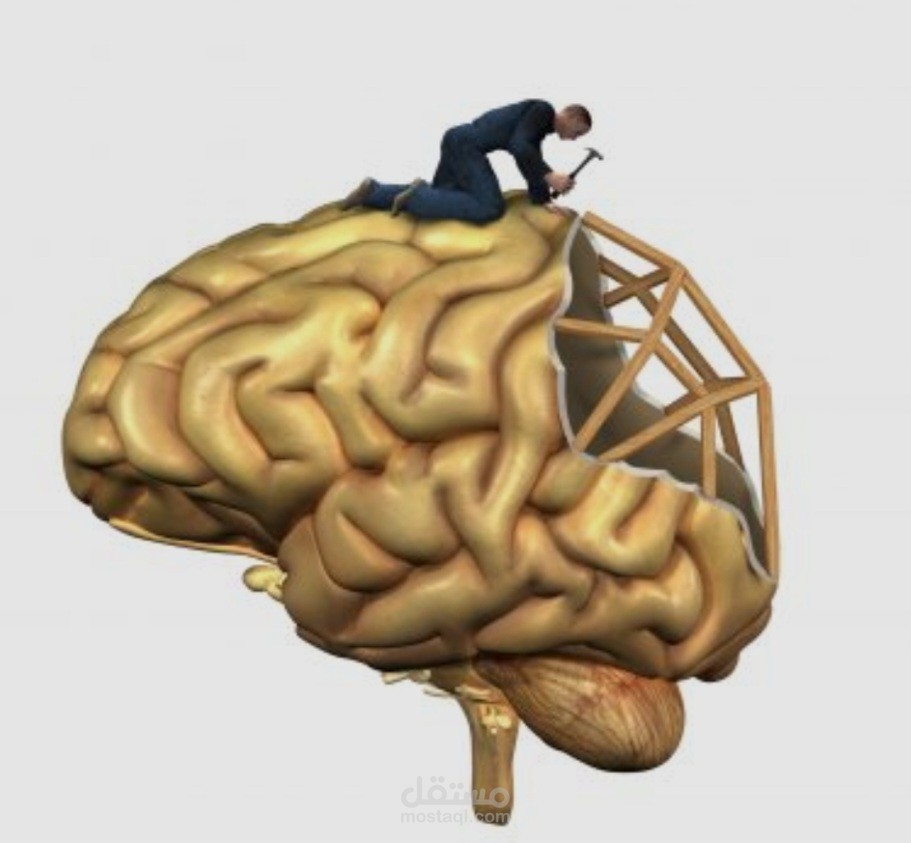 : ترجمة طبية متخصصة في علم الأعصاب - اللدونة العصبية (Neuroplasticity)