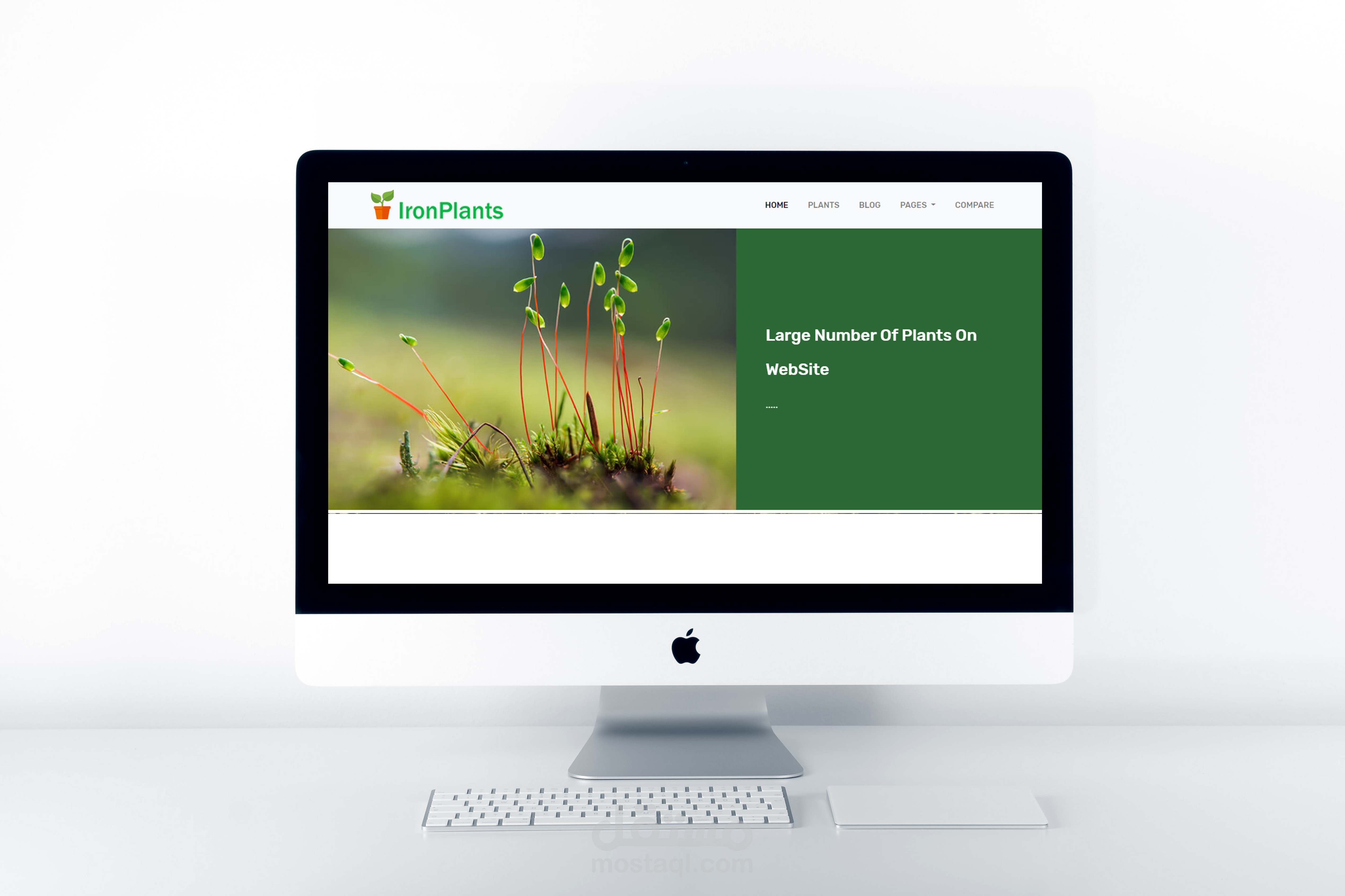 موقع خاص بعلم النباتات