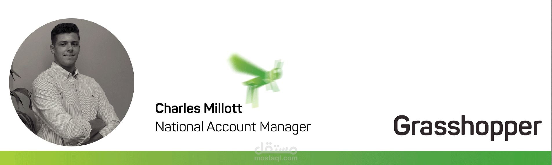 Animate email footer