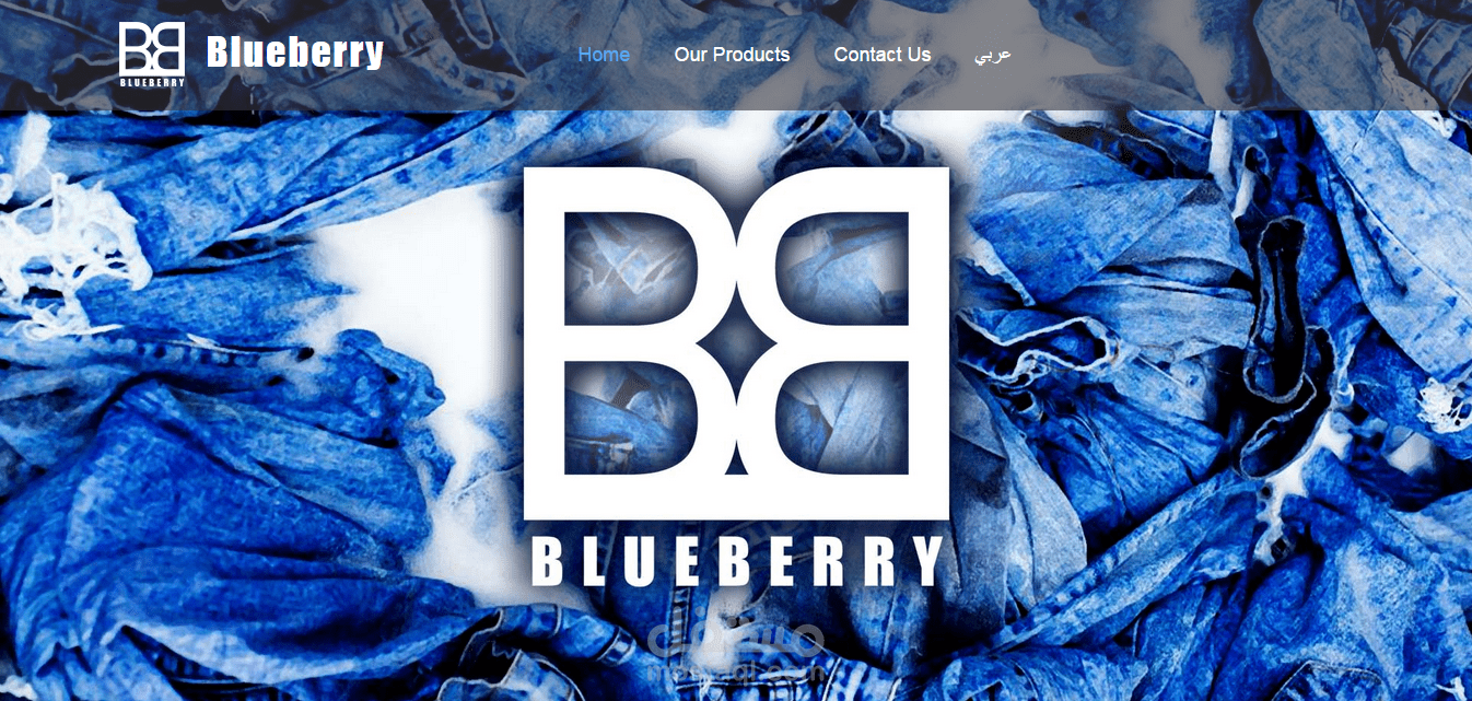 Blueberry