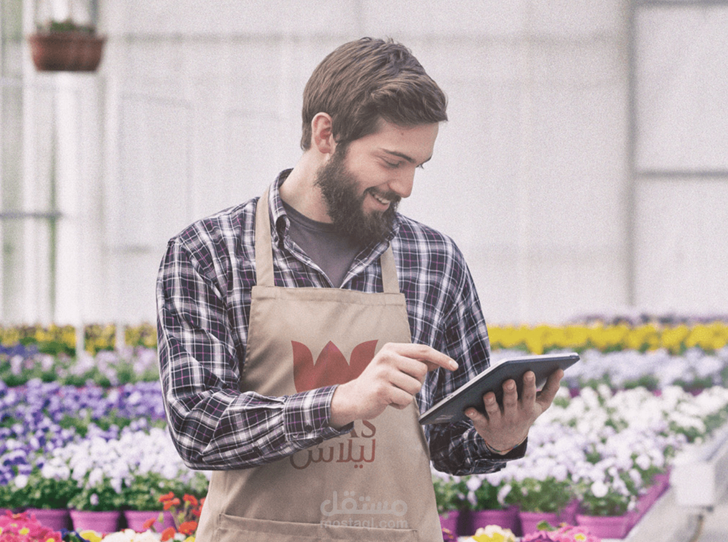 شعار ليلاس لتجهيز الحفلات