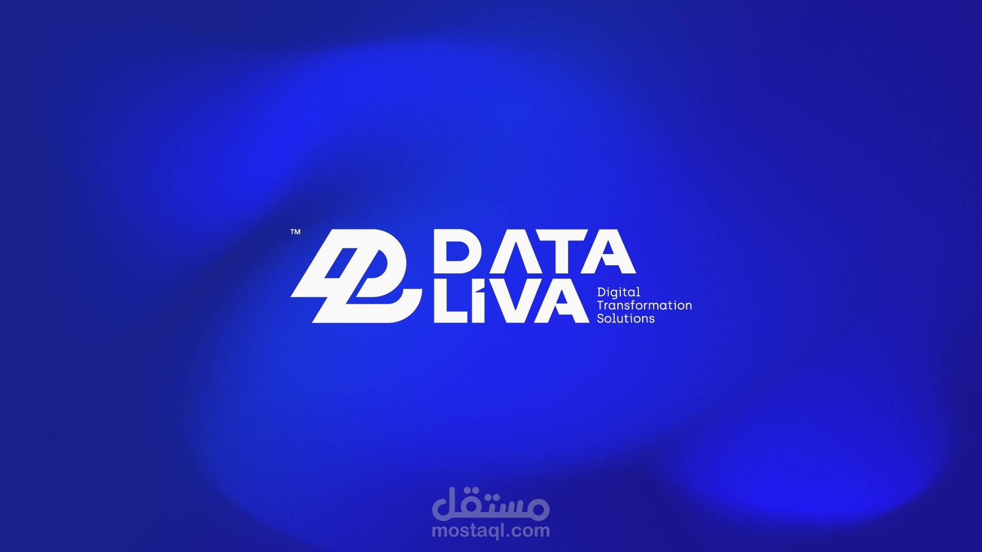 DataLiva | Digital Transformation Solutions