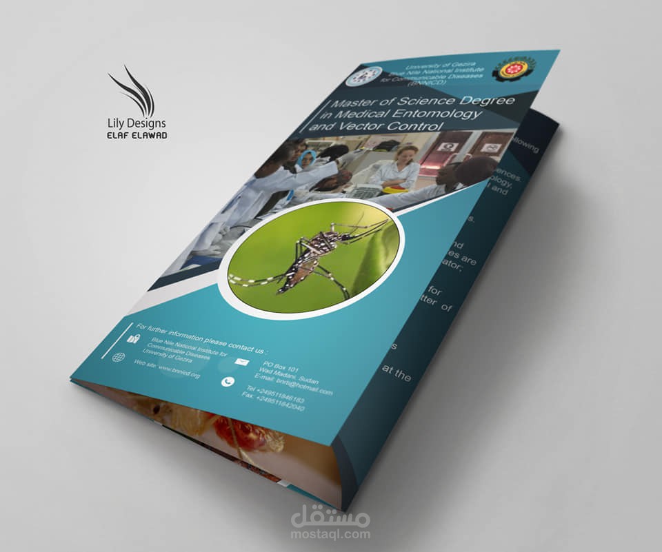 تصميم بروشورات