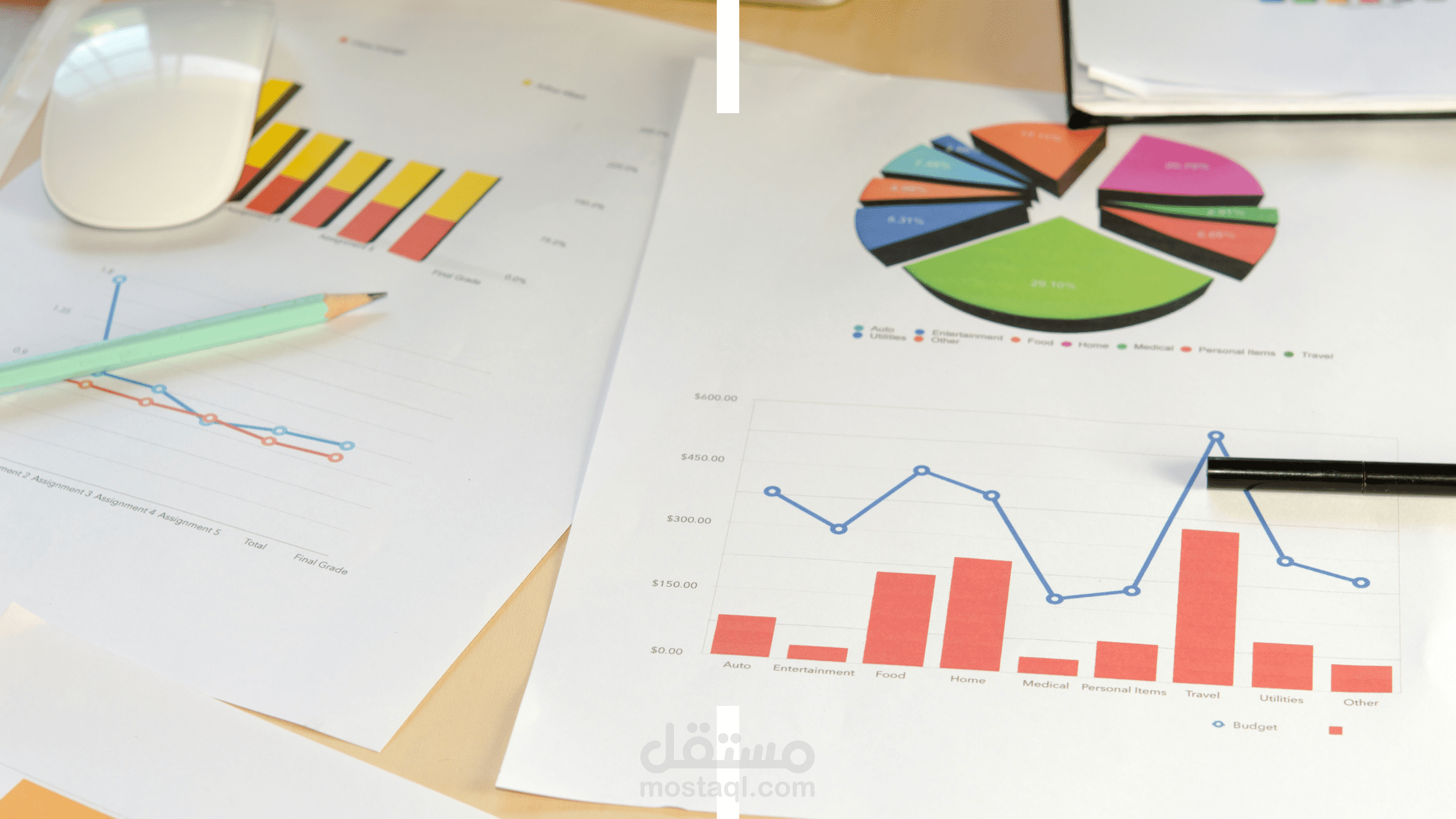 اعداد استراتجية وكتيب تعريفي لمجلس مدني