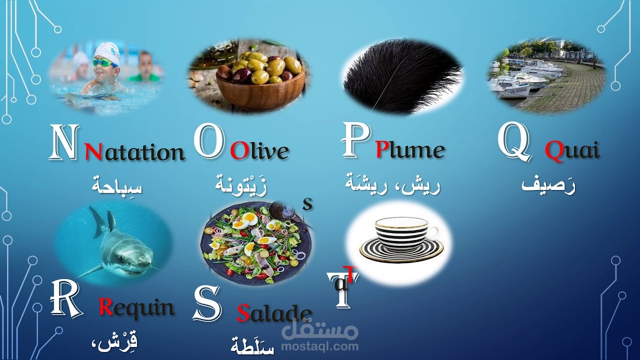 فيديو اساسيات تعليم لغة فرنسية لليوتيوب2