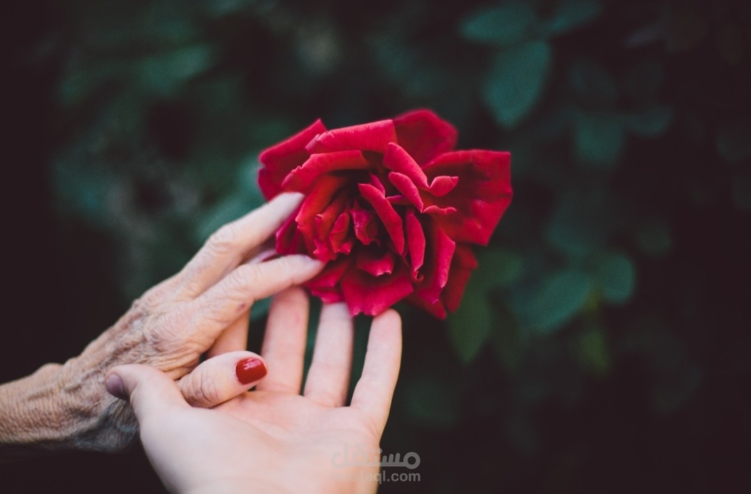 قصة مستوحاة من الواقع عن الأخلاص