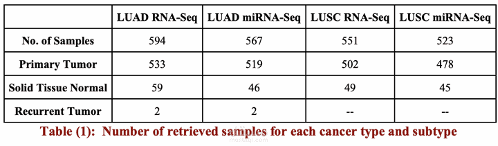 Integrative Bioinformatics Analysis of MicroRNA and Gene Interactions For Revealing Potential Biomarkers of Non-Small Cell Lung Cancer
