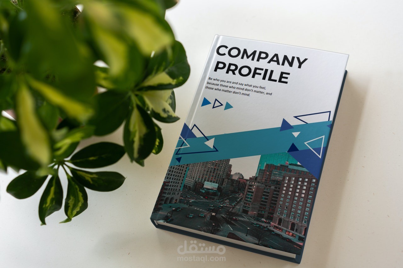 بروفايل شركة مقاولات