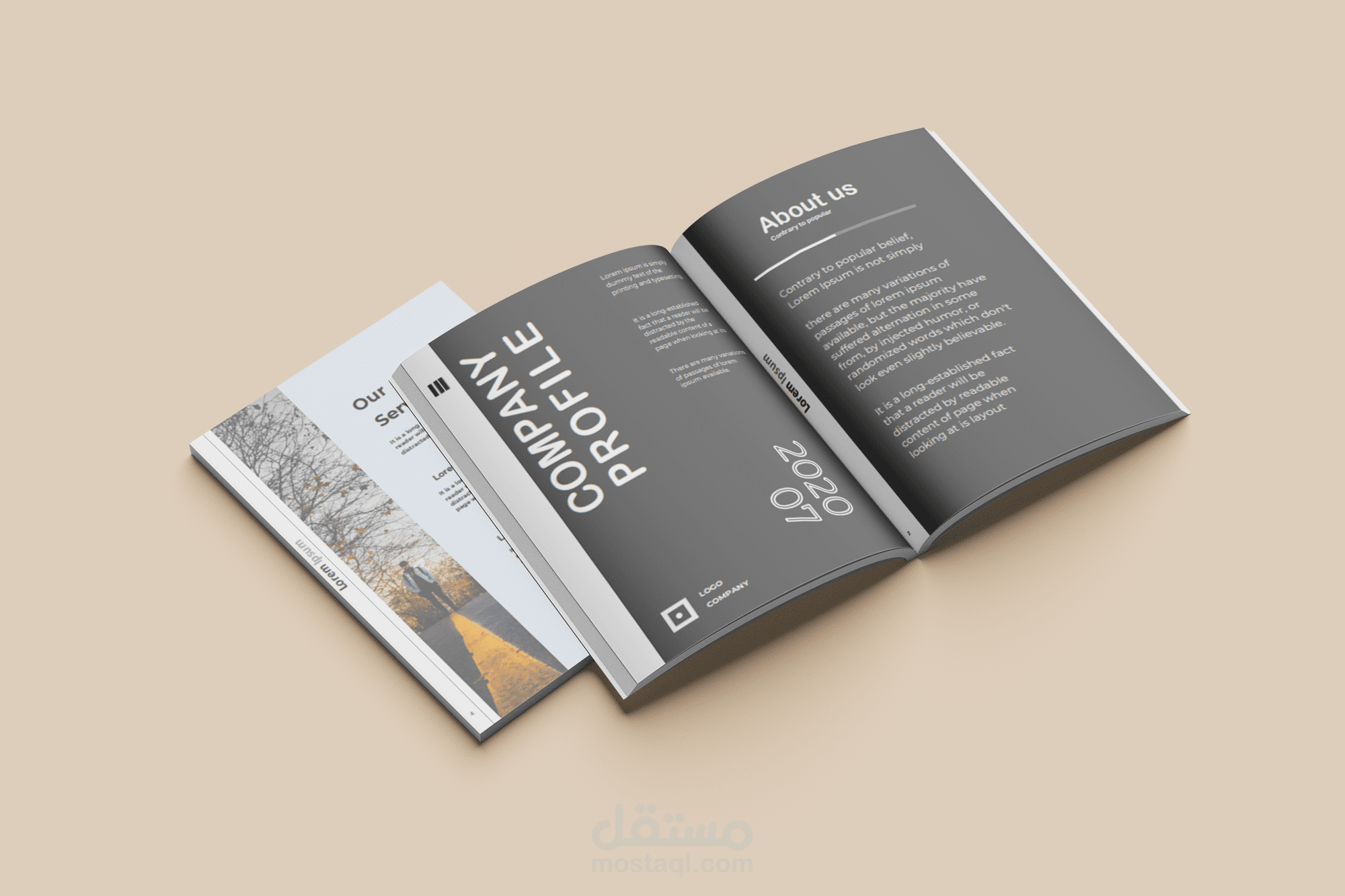 بروفايل شركة استثمارات