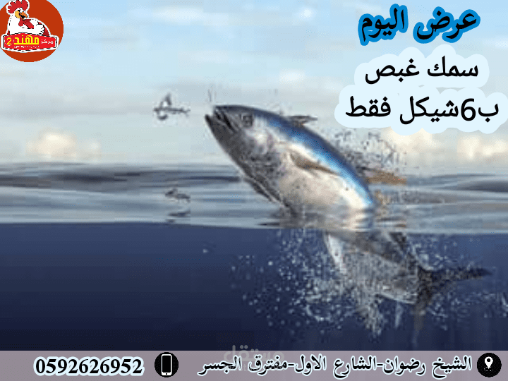 أحد أعمالى لمركز مهند