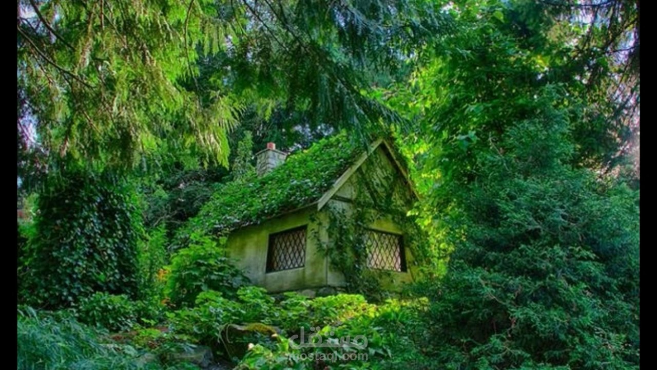 قصة علاء الدين والغابة المسحورة - الحلقة الثانية