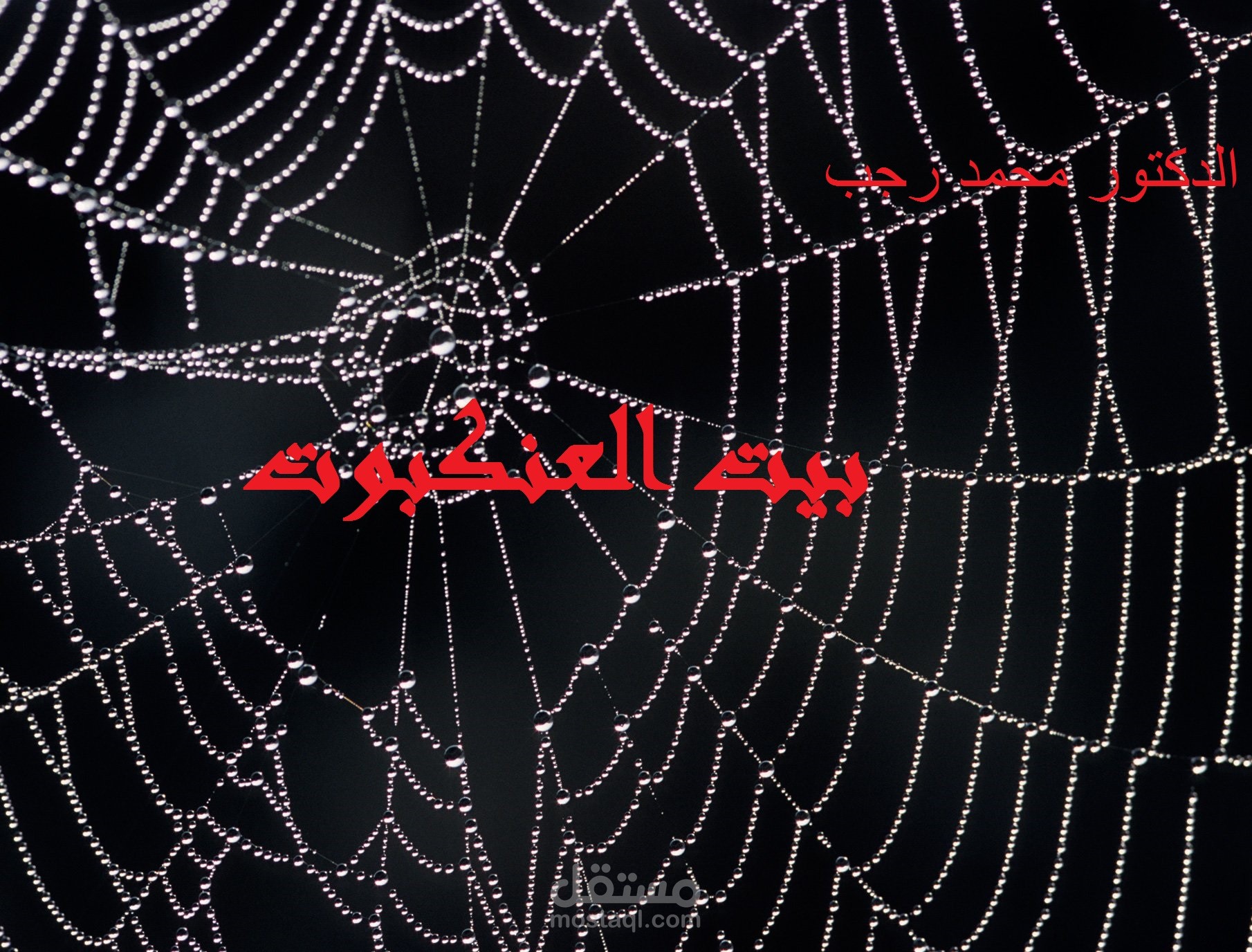 المجموعة القصصية: "خيوط العنكبوت"