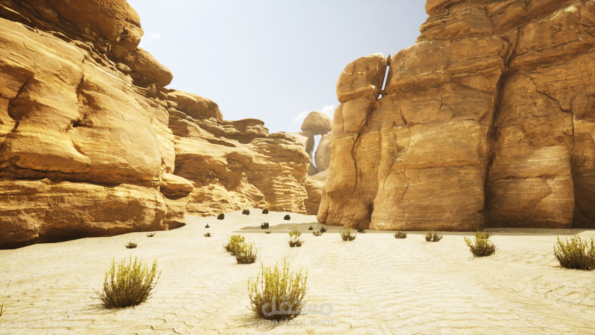 Desert Environment