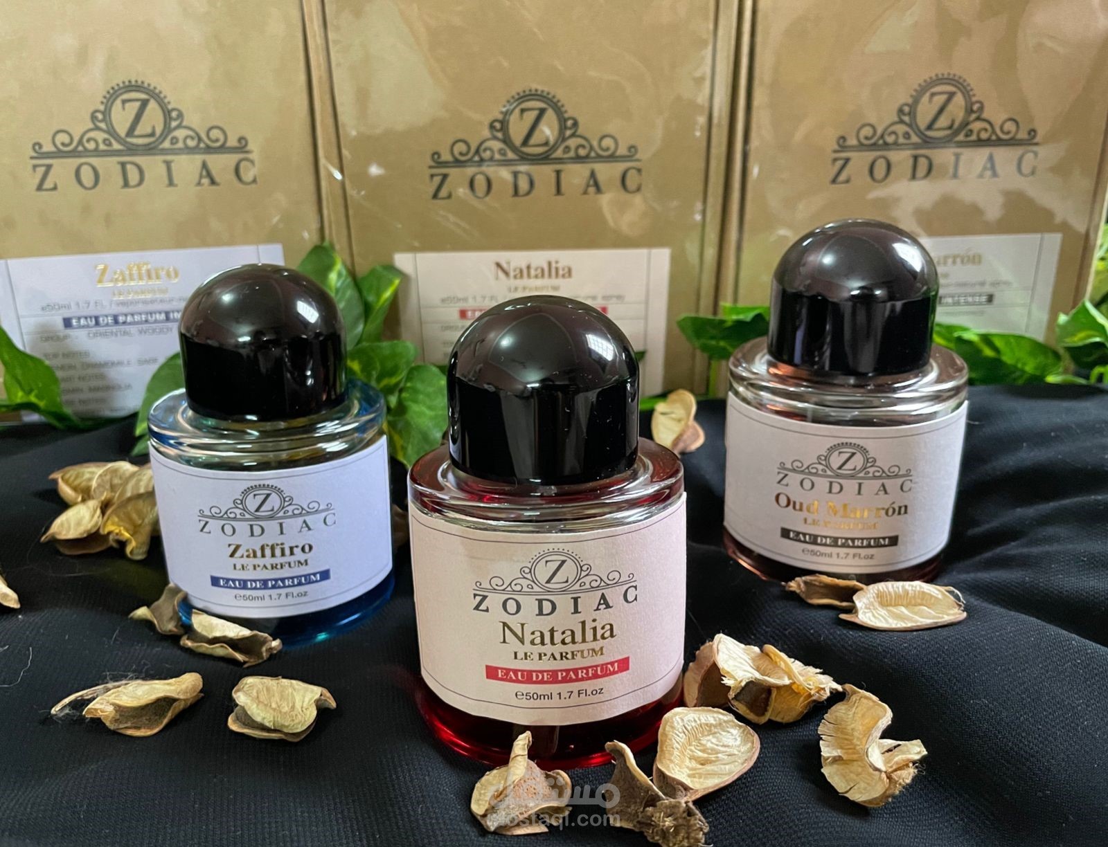 محتوى تسويقي لمنتج عطور بلغة (قريبة وسهلة)