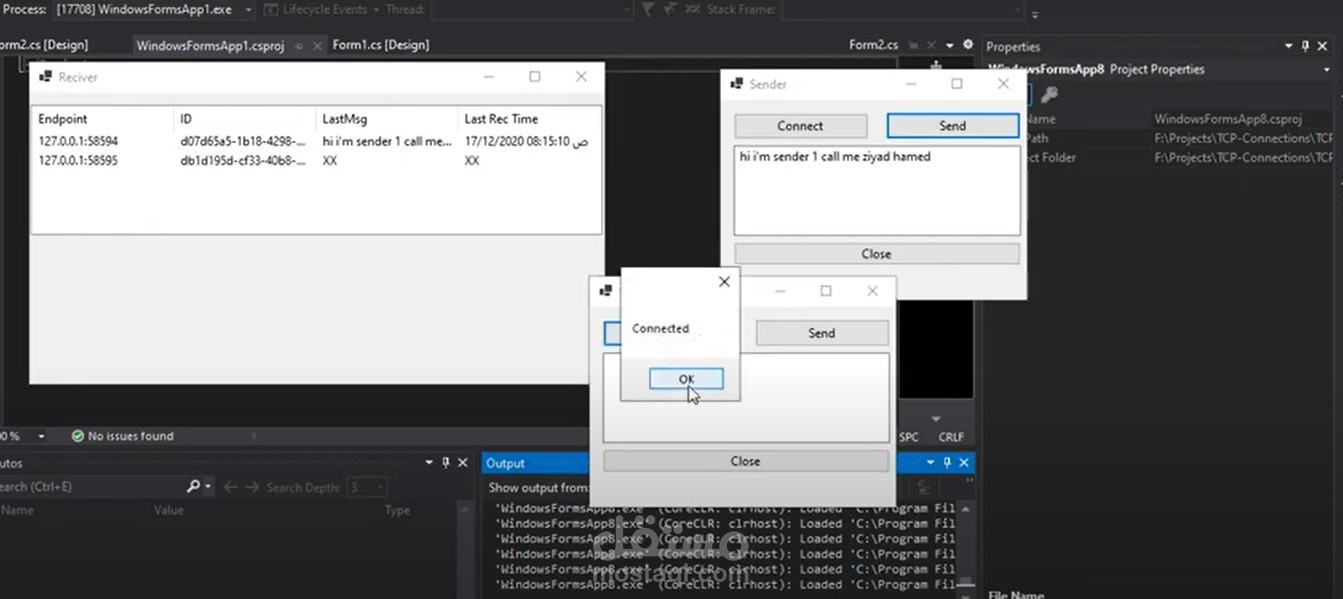 UDP Connection - Windows Form Application