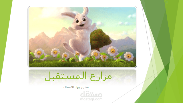 خطة عمل ودراسة مالية لمشروع صغير ( مزارع المستقبل)