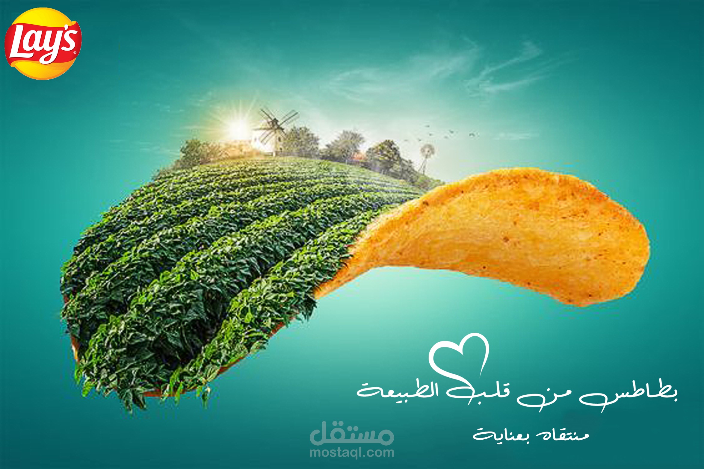 lays social media design