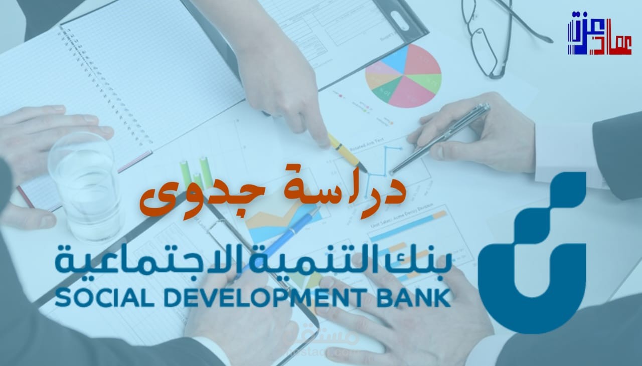 دراسة جدوي تقدم لنك التنمية الاجتماعي بالسعودية