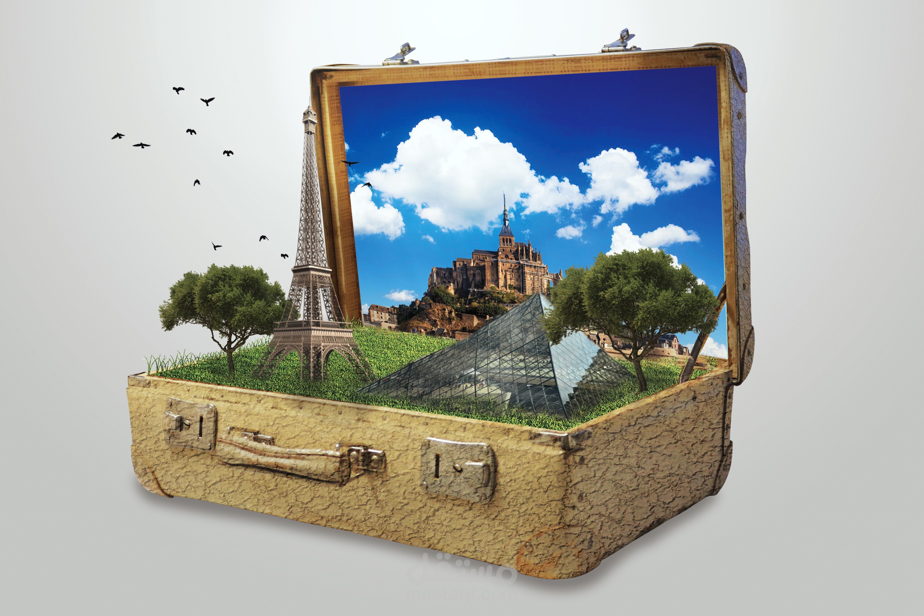 سوشيال ميديا