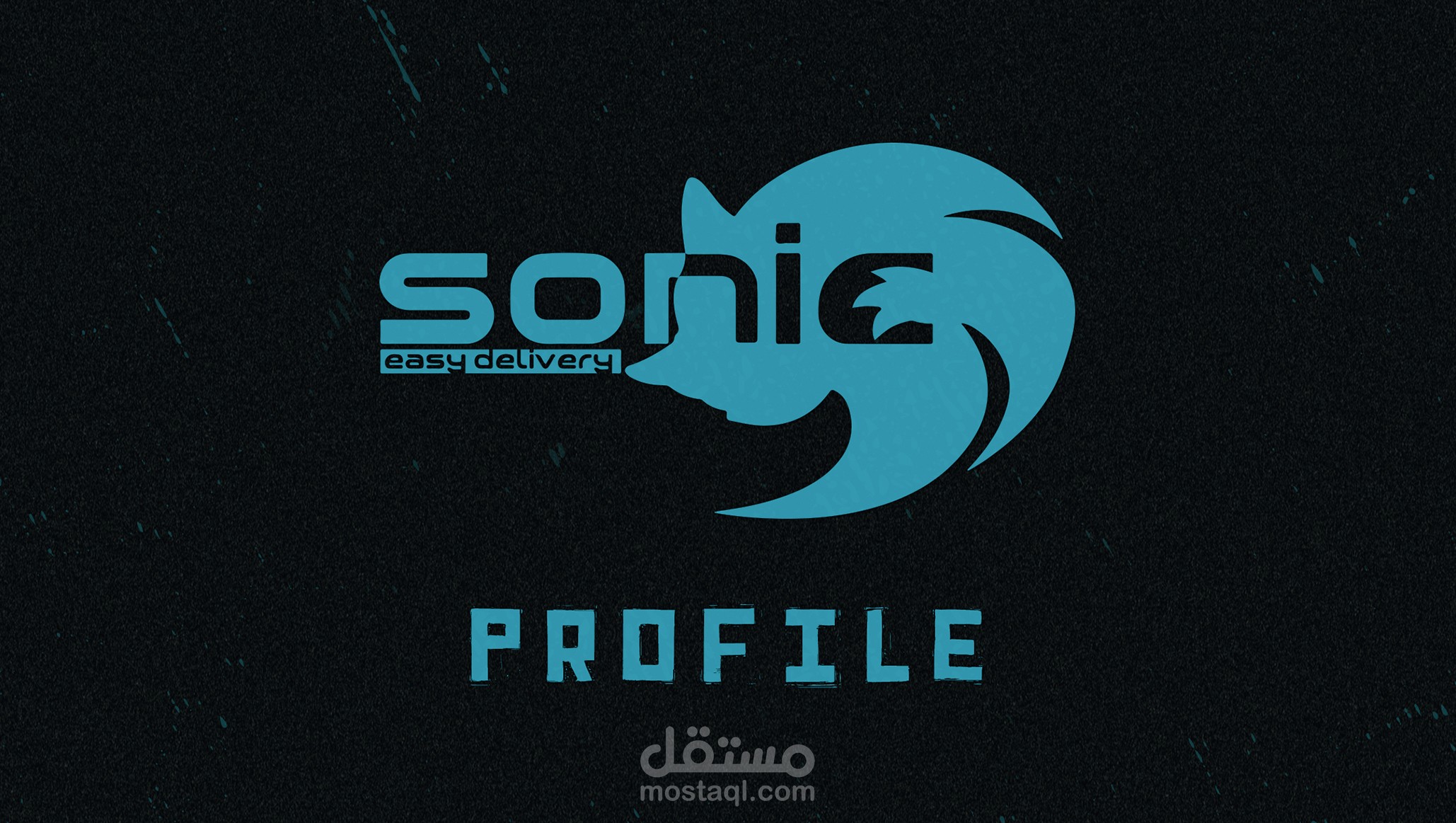 Company Profile ( Sonic )