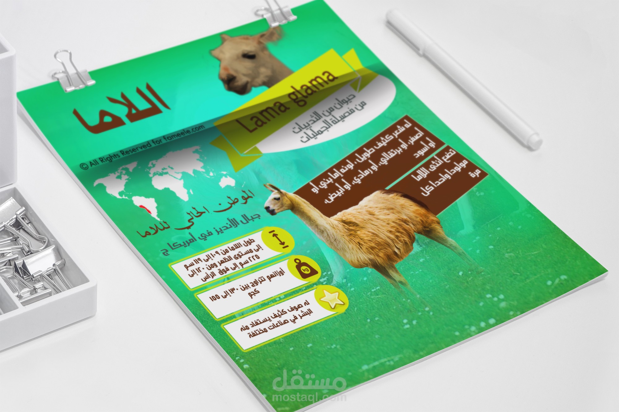 Infographics for social media