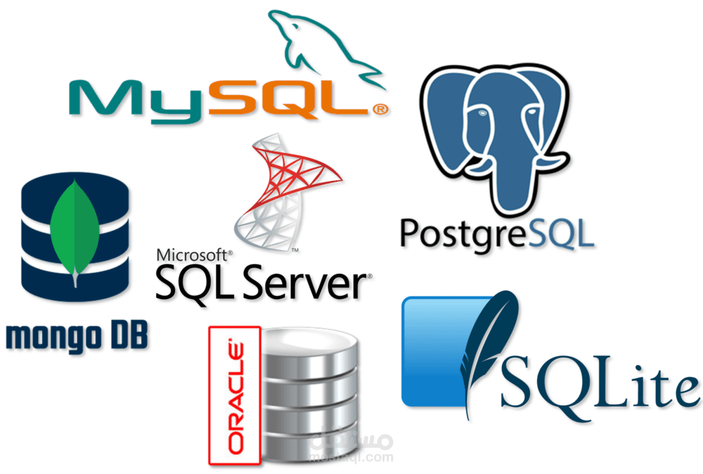 برمجة وانشاء وتصميم قاعدة بيانات قوية من أجل ادخال بيانات دخول وخروج مركبات