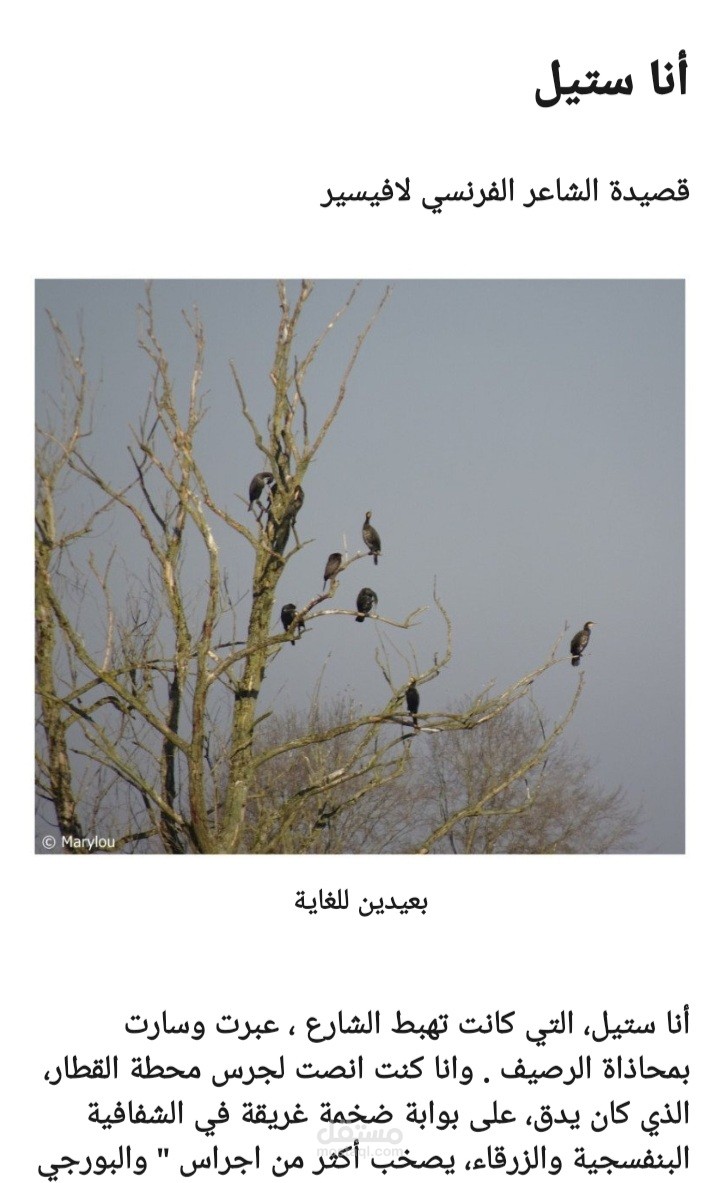 عرضي لقصيدة أنا ستيل للشاعر الفرنسي لافيسير