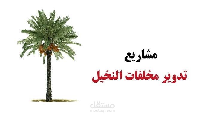 دراسة جدوى مصنع تدوير مخلفات النخيل لإنتاج الورق والمناديل