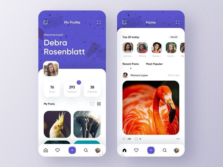 Social App
