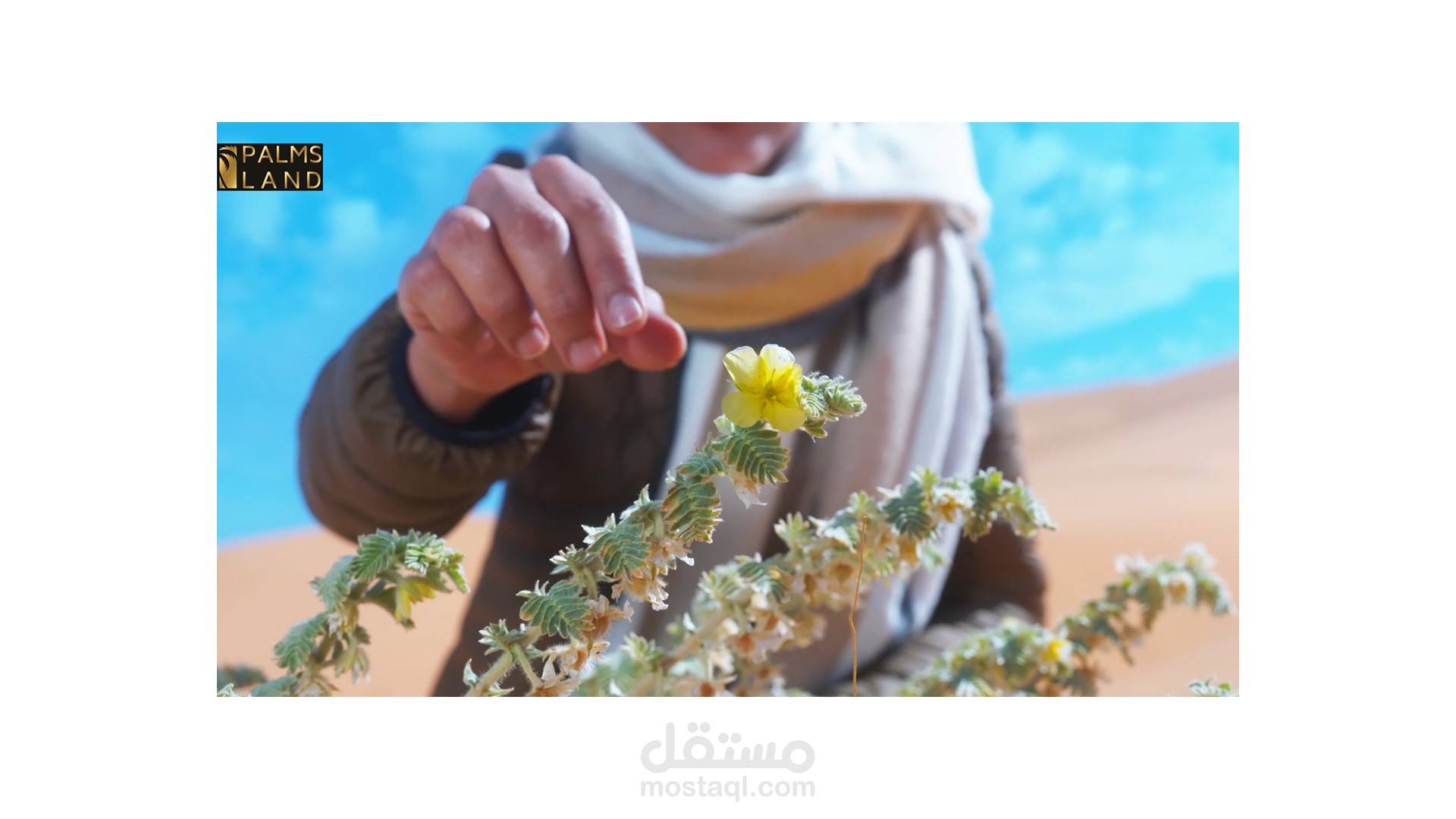 فيديو مونتاج - روح السعودية ! بلأنجليزي