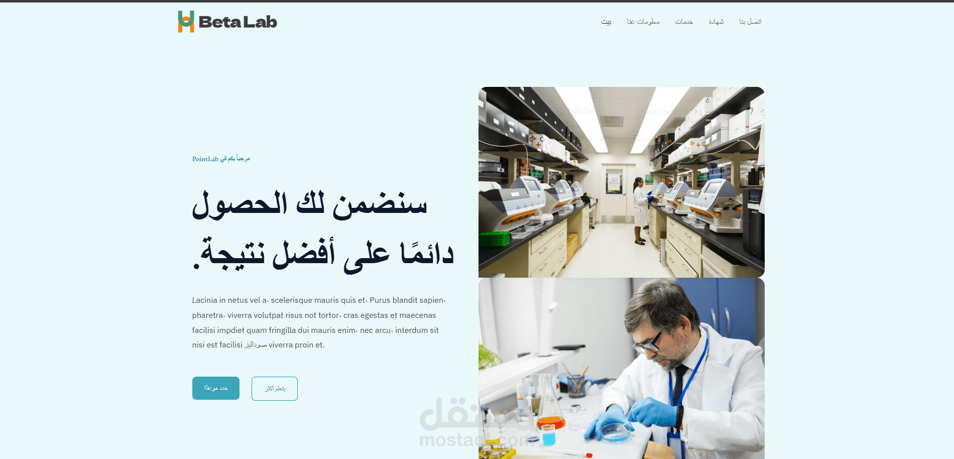 معمل بيتا ( موقع تجريبي )