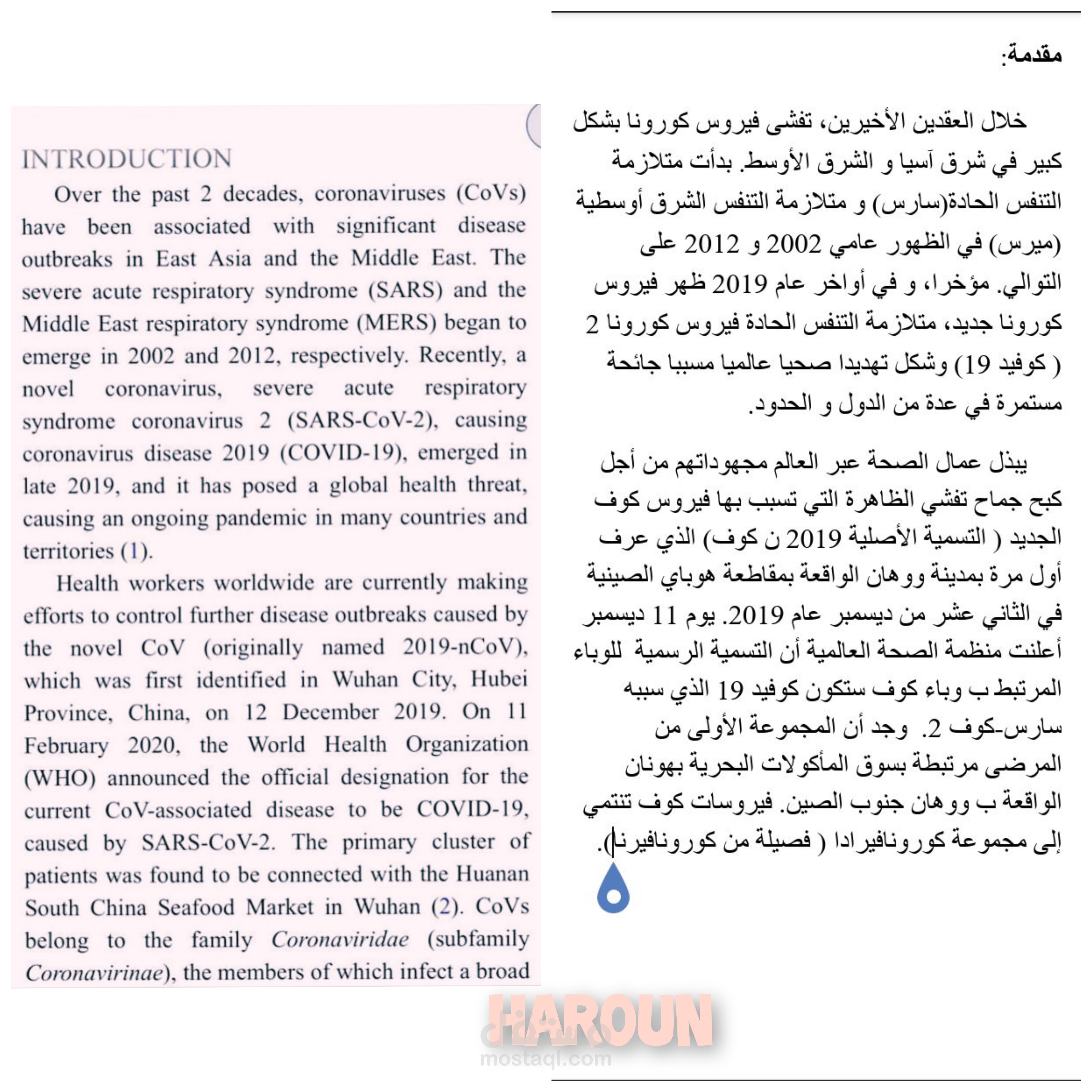 ترجمة