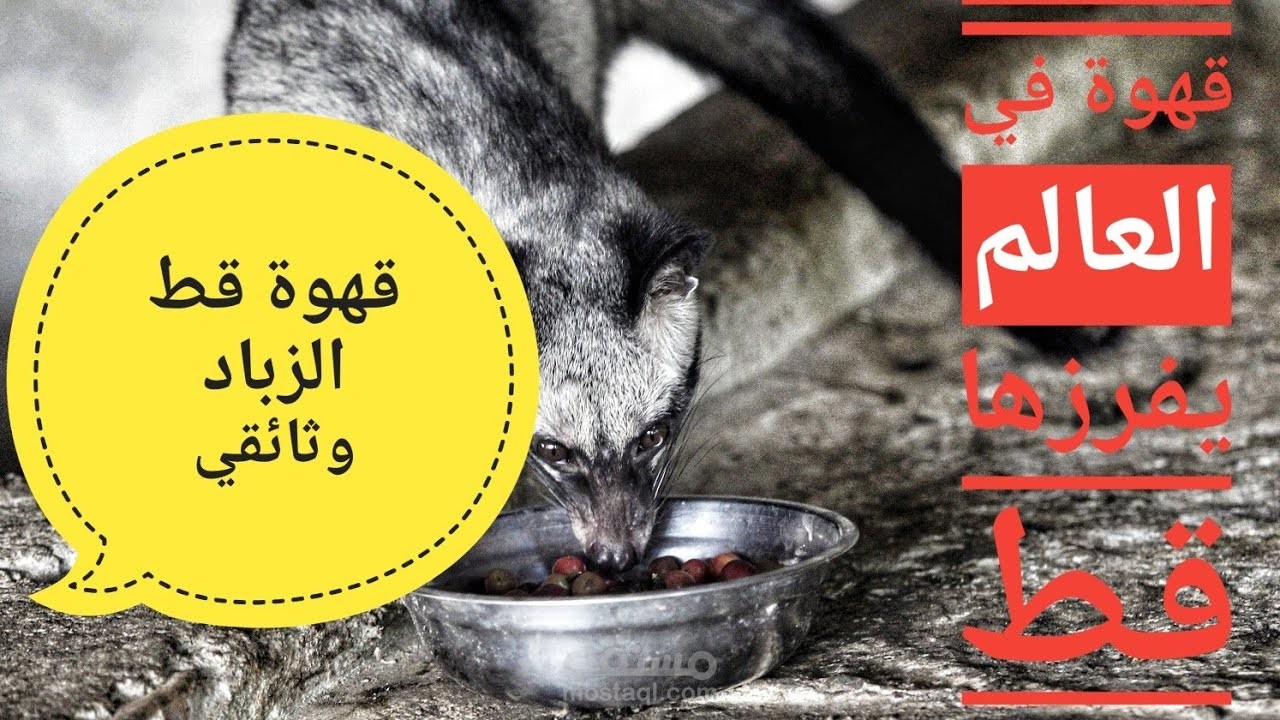 قصة القهوة
